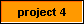  project 4 