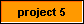  project 5 